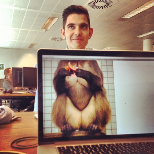 tumblr_mo6emt1oe31sszmmco1_1280