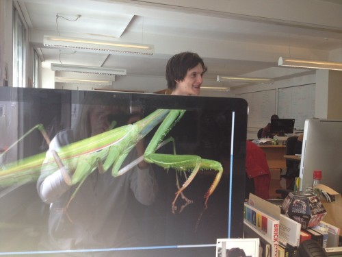 tumblr_mofdelgwmv1sszmmco1_1280