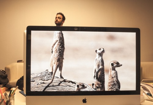 tumblr_molmmd1Bd01sszmmco1_1280