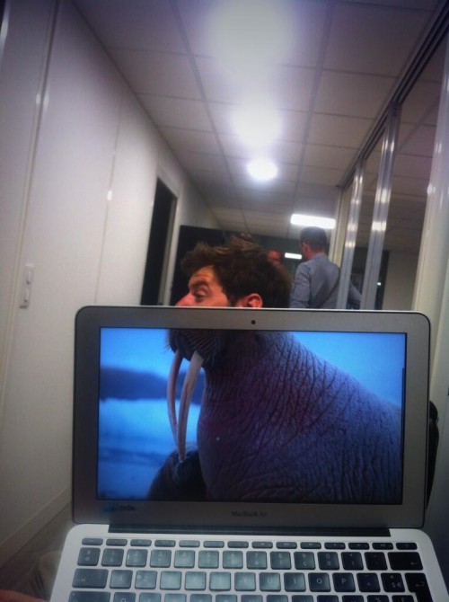 tumblr_moln3pT6NE1sszmmco1_1280