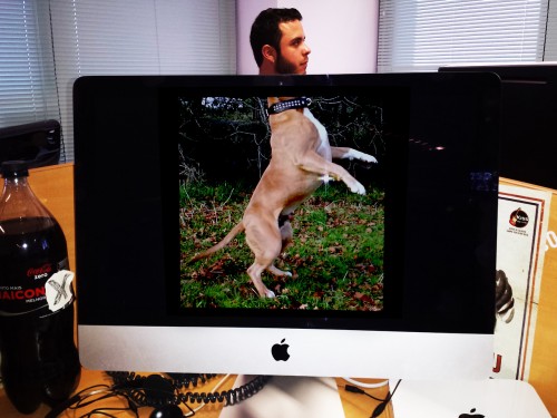 tumblr_mq0u4pIpeB1sszmmco1_1280