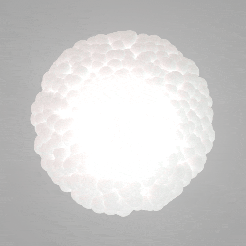 tumblr_ma8gbpPvZS1r4mh0bo1_500