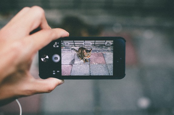 tumblr_mmfm531IND1rsxjgio2_1280