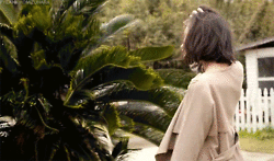 tumblr_n0w6jjg9ZY1qdovbqo3_r1_250