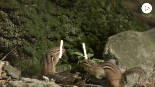 tumblr_nrurg02Yty1s02vreo2_500