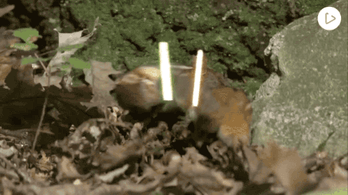 tumblr_nrurg02Yty1s02vreo4_500