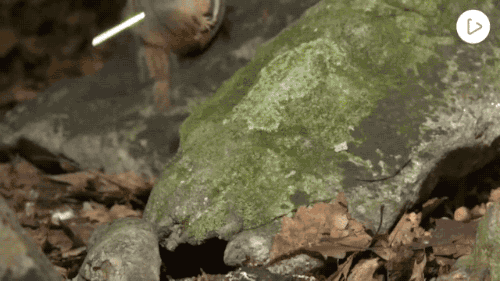 tumblr_nrurg02Yty1s02vreo7_500