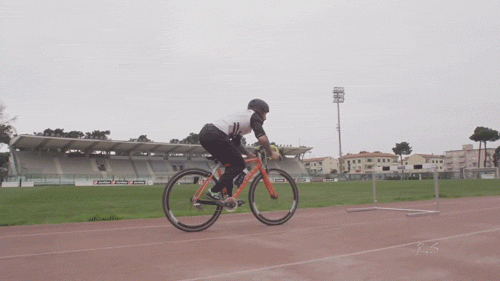 tumblr_n6o107efYk1tpmgf1o1_500