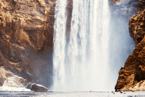 tumblr_nzl81lnI8G1ukofkbo1_r2_500