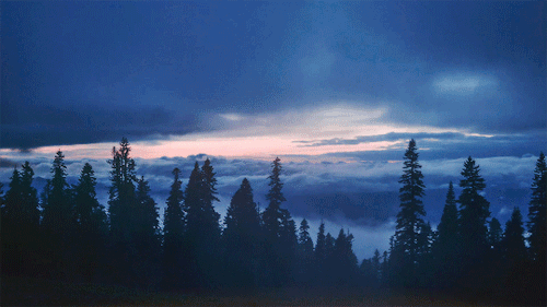 tumblr_nzo7xsjELY1uxwli9o1_500