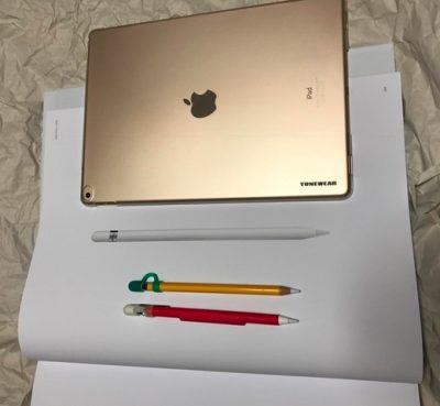 %e8%b2%bc%e3%82%8a%e4%bb%98%e3%81%91%e3%81%9f%e7%94%bb%e5%83%8f_2016_11_19_9_02