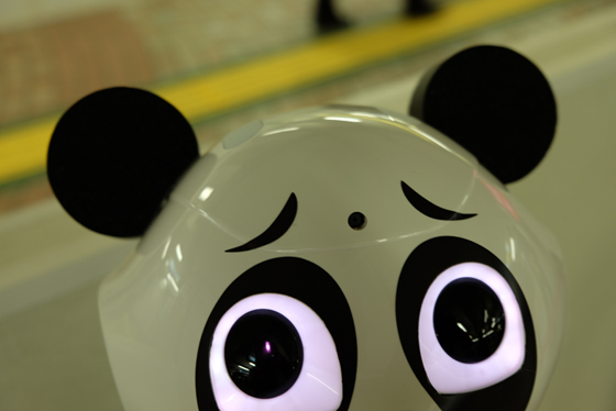 tomomi_161201pepper11